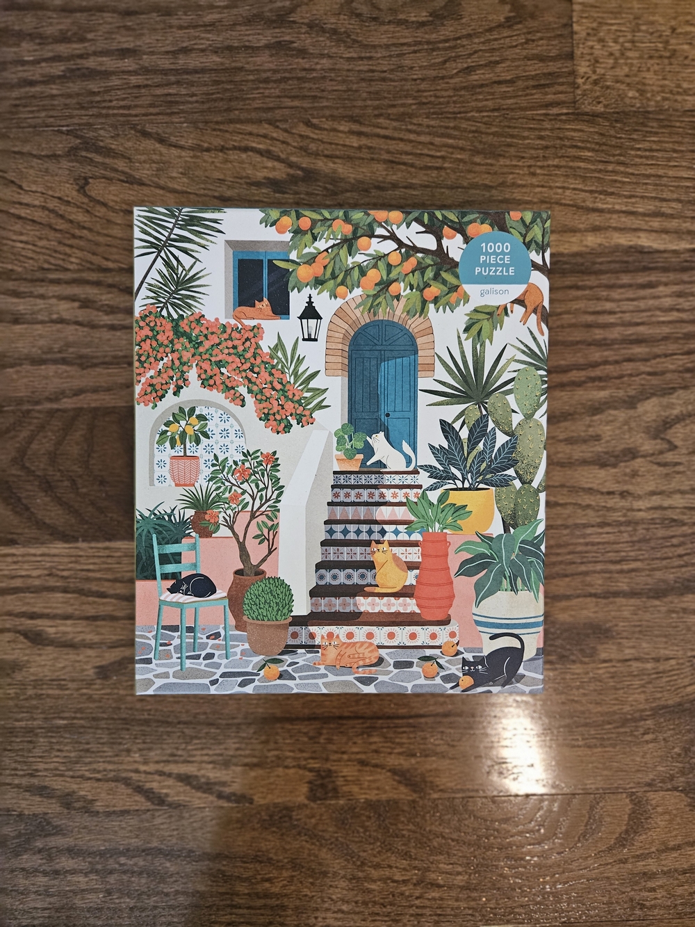 Mediterranean Cats Puzzle — Galison 1000 Piece Puzzle